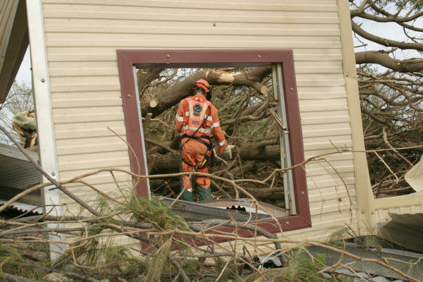 Best Tree Maintenance Programs  in Salem, WV